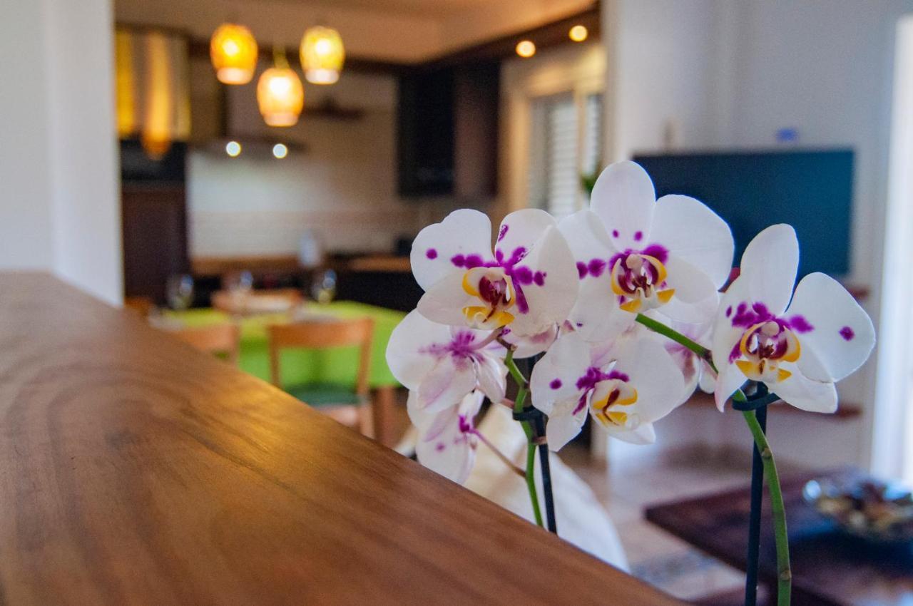 Villa Amapola 엘메다노 외부 사진